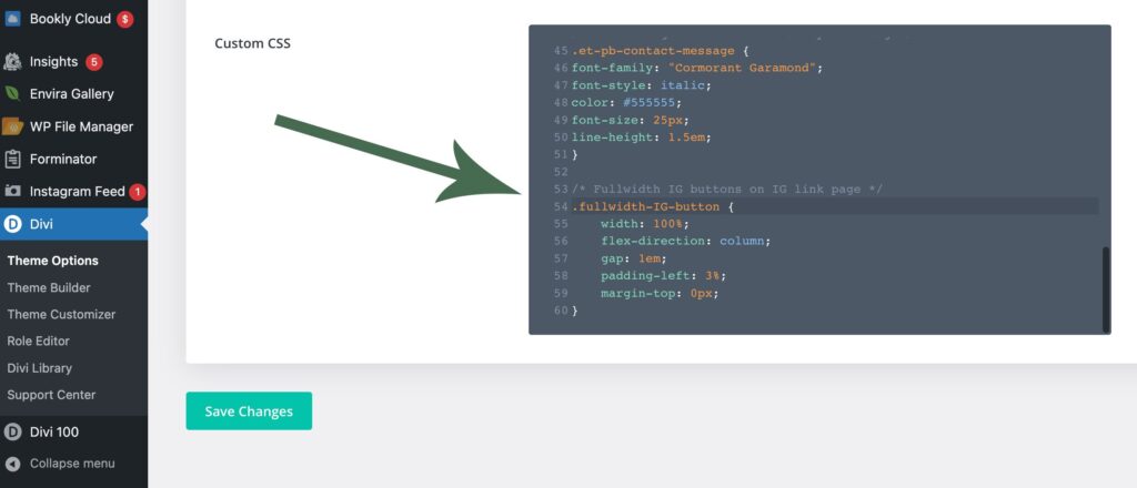 Step 2 for creating a full-width button in Divi: Add the code to the Custom Code section of Divi "Theme Options"