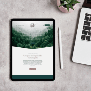 Website Audit